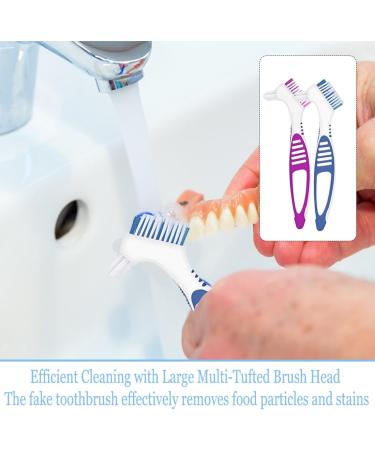 Buy Denture Care Kit: 2 Tooth Plaster Boxes & Toothbrushes for Adults | Clean & Store Your Dentures | Fast International Shipping - Buy Online on GoSupps.com