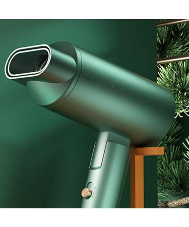 1600W Professional Lady Hair Dryer Ion Conditioning-Powerful Hair Dryer Heating Cold and Hot Air Constant Temperature Hair Care Without Injury - Buy Online on GoSupps.com