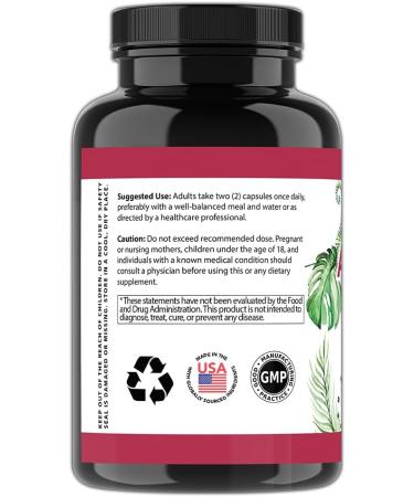 Angry Supplements Vegan Apple Cider Vinegar + Beet Root 60ct & Vegetarian Turmeric Curcumin 60ct- Plant Based Veggie Capsules for Men + Women (2pk-120ct) 120 Count (Pack of 1) - Buy Online on GoSupps.com