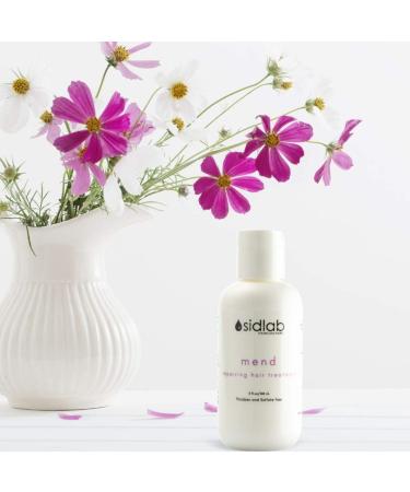 Mend Repairing Treatment Restorative treatment for soft shiny healthy hair 5oz