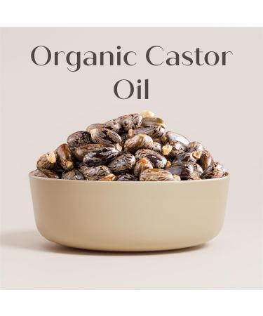  Arganicare ARGANICARE | Ricin Shampoo + Conditioner | Growth Accelerator | Soothes the Scalp | Nourishes and Strengthens the Scalp | Str - Buy Online on GoSupps.com