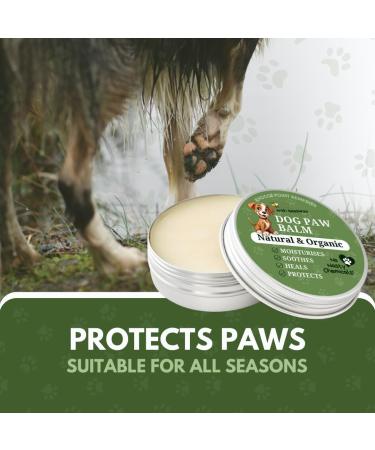 Organic Dog Paw & Nose Balm 30ml - All Season Protection with Beeswax, Coconut Oil & Shea Butter - Moisturizes, Heals & Protects - Lick-Safe Formula - UK Made - Buy Online on GoSupps.com