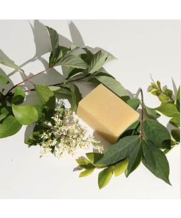 SE Clarify Cleansing Bar - Natural Nourishing Cleanser & Moisturizer for Gentle Wash - International Shipping Available - Buy Online on GoSupps.com