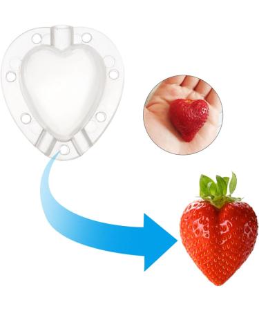 VANZACK Fruit Shaping 4pcs Heart Transparent Fruit Garden Strawberry Forming Jujube Major Melon - Buy Online on GoSupps.com