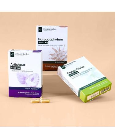Chardon-Marie 14 000 mg Haute teneur en Silymarine 1 mois de cure intensive 1 unit (Lot de 1) - Buy Online on GoSupps.com