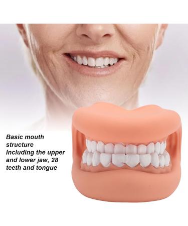 Mouth Hand Puppet - Educational Dental Care Model with Tongue for Children s Learning - Buy Online on GoSupps.com