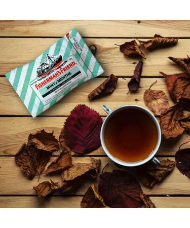 Fisherman s Friend Sugar Free Mint | For Temporary Relief of Cough Sore Throat & Nasal Congestion | 24 Packs of 22 Lozenges (528 Total Count) - Buy Online on GoSupps.com