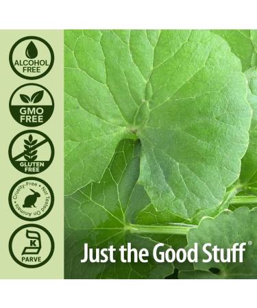 NaturaAnswer's Gottu Kola Extract 30 ml - Buy Online on GoSupps.com