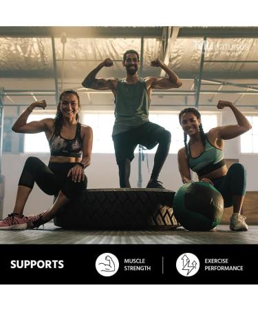 ML Naturals Micronized Creatine Monohydrate 200 Mesh Powder 500g (17.9oz) 100 Serving Pure & Unflavored Vegan Gluten Free Non-GMO Third-Party Lab Tested 500g (Pack of 1) - Buy Online on GoSupps.com