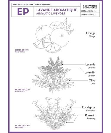 Compagnie de Provence Lavender Hand Cream 30ml - Nourishing Aromatic Handcare for Soft Skin | International Shipping - Buy Online on GoSupps.com