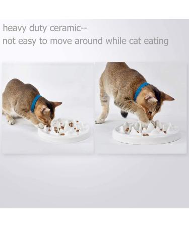 Lorde Ceramic Slow Feeder Cat Bowl - Interactive Bloat Stop Puzzle for Healthy Eating | Dog & Pet Slow Feeding Bowl - Buy Online on GoSupps.com