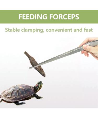 1PC Aquarium Tank Tweezers Reptile Feeding Tool tainless Steel Aquarium Straight Tweezers Tongs for Cleaning Dead and Excess Plants Positioning Ornaments and Feeding - Buy Online on GoSupps.com