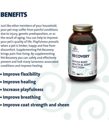PURICA Pet Recovery Powder - 350g Dog Joint and Hip Supplement Joint Care for Enhanced Mobility & Comfort - Buy Online on GoSupps.com