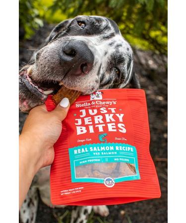Stella & Chewy's Lil' Bites for Small Breed Dogs (Itty Bitty Beef Recipe) + Just Jerky Bites Real Beef Recipe Dog Treats Bundle Freeze-Dried Raw Dinner Morsels+ Dog Treats - Buy Online on GoSupps.com