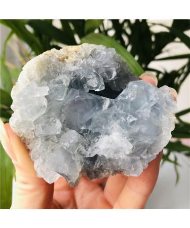 Home Decoration Natural Celestite geode Quartz Cluster Crystal Stones Home Goods ZJGIDTEM (Size : 220-260g)