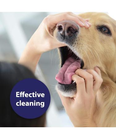 Canosept Dental Care Spray for Dogs 100ml - dog breath freshener - dog dental spray - dog mouthwash - plaque remover for dogs teeth - Dog teeth cleaning products for dental care and oral hygiene 100 ml (Pack of 1) - Buy Online on GoSupps.com
