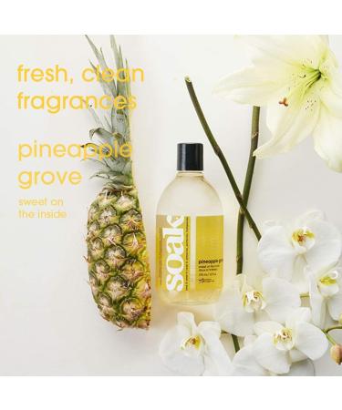 Soak Laundry Soap 2 Pack Shop & Share | No Rinse Plant Derived Hand Wash Detergent - 375 ml / 12 fl. oz 75+ Washes (Pineapple) - Buy Online on GoSupps.com