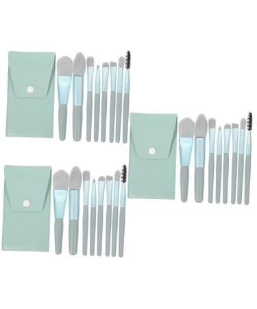 minkissy 3 Sets Travel Makeup Professional Makeup Brush Cosmetology Kit Makeup Brush for Women Face Beauty Tools Cosmetics Make up Brush Girls Mini Blush Brush Aluminum Tube Miss