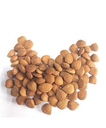 Organic Raw Bitter Apricot Kernels 16oz - USDA Certified, 1LB Bitter Apricot Seeds - Buy Online on GoSupps.com