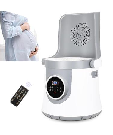 Sitting fuel instrument vaginal care vapor seat with backrest intelligent remote control red light hot compress energy-Germanium stone wet and dry use for the health of