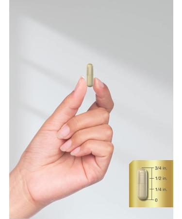 Tribulus Terrestris 15000mg for Men | 180 Capsules | Non-GMO, Gluten Free Extract by Horbaach - Buy Online on GoSupps.com