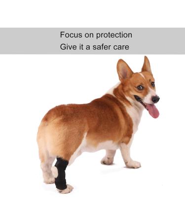 Dog Rear Leg Brace Prevent Licking Fixing Strap Spring Support Canine Rear Hock Support Pet Protective Gear for Leg Wounds Injuries Helps with Loss of Stability(XL) - Buy Online on GoSupps.com
