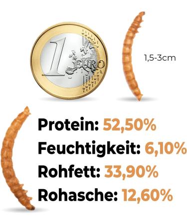 Buy 5 Ltr Dried Mealworms - Nutrient-Rich Feed for Birds Hedgehogs Reptiles & More | Ideal Wild Bird Feed & Pet Snack - Buy Online on GoSupps.com