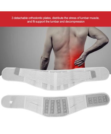 Back Support Adjustable Anti-skid Lumbar Support with 3 Detachable Plates Lower Back Belt for Men and Women for Work(S(waist:25.6''-29.9'') - Buy Online on GoSupps.com