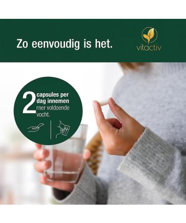 Vitactiv Natural Nutrition VITACTIV Energy Kick 90 Guarana Capsules with Matte Green Tea LTyrosine LTaurine plus B Vitamins Energy Capsules 100mg Caffeine Booster Vegan High Dose - Buy Online on GoSupps.com