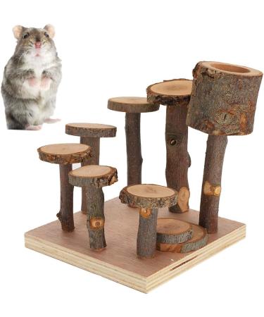 Nikou Hamster Toys Platforms Ladder Exercise Stairs Small Pet Climbing Ladder Step Eco-Friendly Fitness Exercise Feeder Chew Toy Not Easy To Fall For Hamster(S) - Buy Online on GoSupps.com