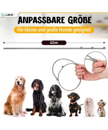 Lubur Flea and Tick Collar for Dogs and Cats - Natural 8-Month Protection Against Ticks & Fleas - Purple - Buy Online on GoSupps.com