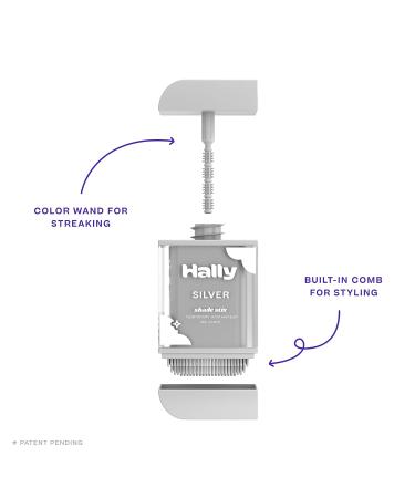 HALLY Shade Stix Silver - Temporary Hair Color for Kids & Adults - One-Day Wash-Out Hair Dye - Washable & Safe - Gray Color Makeup - Buy Online on GoSupps.com