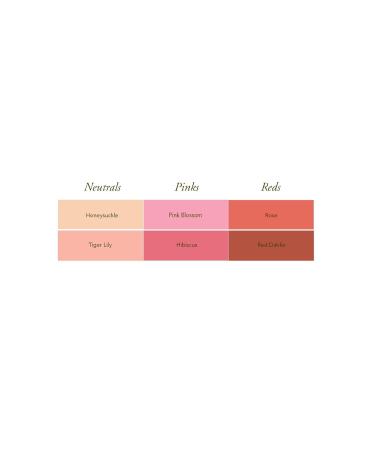Burt's Bees 100% Natural Tinted Lip Balm - Pink Blossom Shea Butter & Botanical Waxes | Buy 2 Tubes Internationally - Buy Online on GoSupps.com