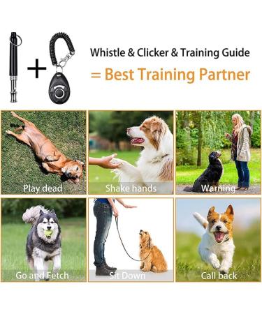 Dog Whistle and Dog Clicker Dog Training Kit Adjustable Frequencies Pitch Whistle with Black Lanyard and Wrist Strap for Dog Training Durable Lightweight Easy to Use 4 Pack (Black and White) - Buy Online on GoSupps.com
