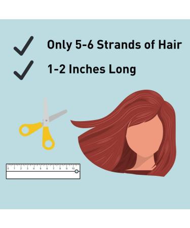 Modern Allergy Management Hair Testing Kit | Test 750 Items for Food, Environmental, and Heavy Metal Intolerances - Buy Online on GoSupps.com