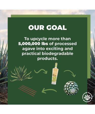 Sustainable Agave Co - Agave Fiber Cups - Plastic-Free Biodegradable Compostable Plant-Based - Clear 12 Ounce - 100 Count - Buy Online on GoSupps.com