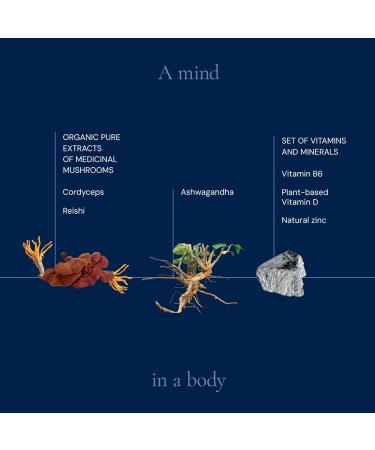 HIFAS DA TERRA Optimum Refill Pack for Men - Mushroom Supplement Mushroom Complex with Cordyceps & Lions Mane Adaptogenic Extract Powder Pills for Brain Health Focus & Energy - 60 Capsules - Buy Online on GoSupps.com