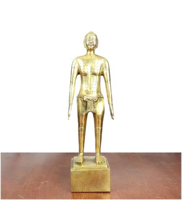 Human Acupuncture Pattern - Pure Copper Acupuncture Figurine Human Body Acupuncture Body Chinese Medicine Acupuncture for Model Studio Medical erbrist