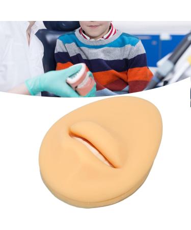 Artificial Mouth Model Soft Silicone Mouth Model Flexible Simulation Human Mouth for Body Part Display Teaching Tool Personal Care - Buy Online on GoSupps.com