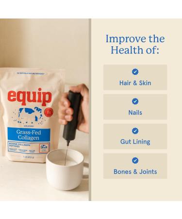 Equip Foods Grass Fed Collagen Powder | Hydrolyzed Bovine Collagen Peptides with Amino Acids | Prime Beef Collagen for Healthy Joints Skin & Nails | Non-GMO Paleo Friendly | 30 Servings Unflavored - Buy Online on GoSupps.com