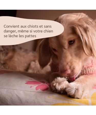 amusi Dog Pad Balm 100 ML - Dog Pad Protection with Calendula and Beeswax Healing and Repairing Function - Dog Pad Cream - Dog Truffle Balm - Buy Online on GoSupps.com