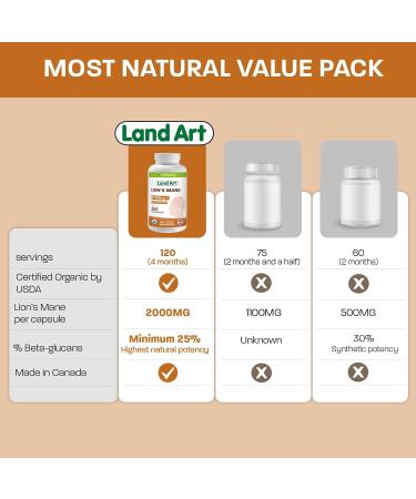Certified Organic Lion's Mane - Cognition & Memory - 120 capsules - 2000mg- Fruiting Body - Multiple Extraction - Over 25% Beta-glucans - Made in Canada - Buy Online on GoSupps.com