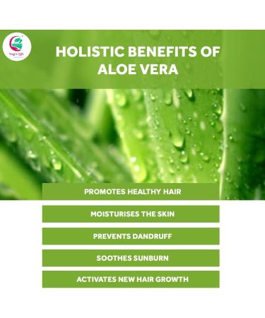 Aloe Vera Powder 250g | Moisturizing Mask for Dry Skin | Hair Mask Ingredient for Hair Growth | Made from Pure & Organic Aloevera | Yogi's Gift  - Buy Online on GoSupps.com