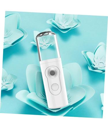 Ipetboom 1set Nano Portable Facial Home Beauty Sprayer Personal Humidifier Girls Travel Charging Care - Buy Online on GoSupps.com