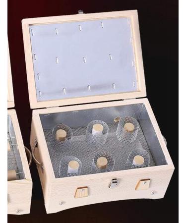 ZAANU Solid Wood Moxibustion Box - Premium Wooden Moxa Burner for Acupuncture Point Massage | International Shipping - Buy Online on GoSupps.com