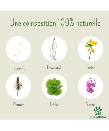 PUR'ANIMAL - PDO Crau hay 5 kg for rabbits and small rodents rabbit hay rabbit food guinea pig... - Buy Online on GoSupps.com