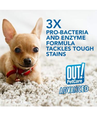 OUT! PetCare Advanced Stain and Odor Remover | Pro-Bacteria & Enzyme Formula | 32 oz (Pack of 2) - Buy Online on GoSupps.com