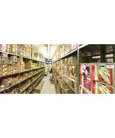 Buy Fresh Salati Marketmore Cucumbers Online - International Shipping Available - Buy Online on GoSupps.com