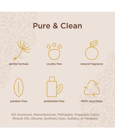 Lavanila Vanilla Sugarcane Scented Perfume for Women 1.7 oz - The Healthy Fragrance Clean and Natural - Buy Online on GoSupps.com