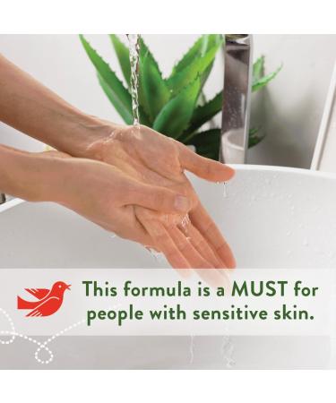 Rebel Green Fresh & Clean Hand Soap Refill - Natural Liquid Hand Soap Refill for Bathroom & Kitchen - Peppermint and Lemon Scent 32 Fl Oz Peppermint & Lemon 32 Fl Oz (Pack of 1) - Buy Online on GoSupps.com